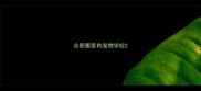 合肥哪里有宠物学校