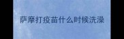 萨摩打疫苗什么时候洗澡