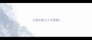 小狗长到几个月带狗