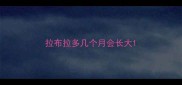 拉布拉多几个月会长大
