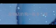 宠物店的狗一般多少钱