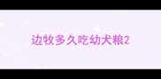 边牧多久吃幼犬粮