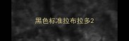 黑色标准拉布拉多