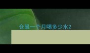 仓鼠一个月喝多少水