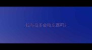 拉布拉多会咬东西吗