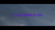 三个月大的德牧多少钱