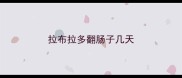 拉布拉多翻肠子几天
