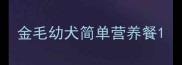 金毛幼犬简单营养餐