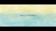 边牧几个月体型固定
