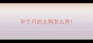 半个月的土狗怎么养
