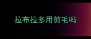 拉布拉多用剪毛吗