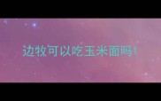 边牧可以吃玉米面吗