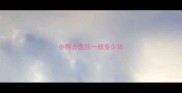 小狗去医院一般多少钱