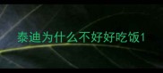 泰迪为什么不好好吃饭