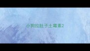 小狗拉肚子土霉素