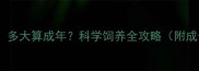 泰迪犬成犬标准多大算成年科学饲养全攻略附成长阶段对照表