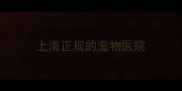 上海正规的宠物医院