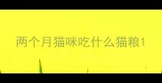 两个月猫咪吃什么猫粮