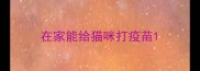 在家能给猫咪打疫苗