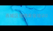 西城区宠物美容培训