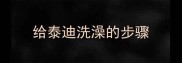 给泰迪洗澡的步骤
