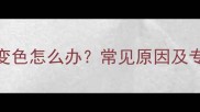 泰迪犬鼻子变色怎么办常见原因及专业护理指南