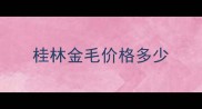 桂林金毛价格多少