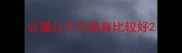公猫几个月绝育比较好