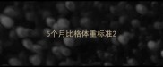 5个月比格体重标准