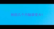 秋田几个月脑袋变大
