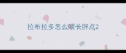 拉布拉多怎么喂长胖点