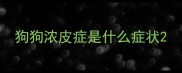 狗狗浓皮症是什么症状