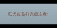 狂犬疫苗打完后注意