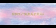 狗狗生产需要剪脐带吗