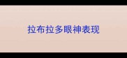 拉布拉多眼神表现