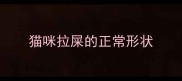 猫咪拉屎的正常形状