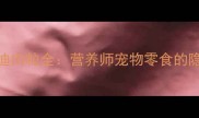 猫咪零食如何选麦富迪肉粒全营养师宠物零食的隐藏风险与科学喂养指南