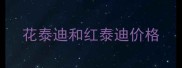 花泰迪和红泰迪价格