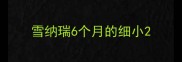 雪纳瑞6个月的细小