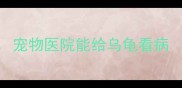 宠物医院能给乌龟看病