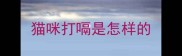 猫咪打嗝是怎样的