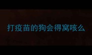 打疫苗的狗会得窝咳么