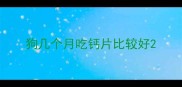 狗几个月吃钙片比较好