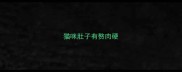 猫咪肚子有赘肉硬
