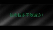 拉布拉多不敢游泳