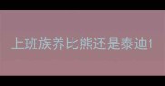 上班族养比熊还是泰迪