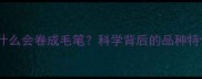哈士奇尾巴为什么会卷成毛笔科学背后的品种特性与养护建议