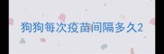 狗狗每次疫苗间隔多久
