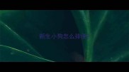 新生小狗怎么排便