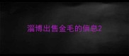 淄博出售金毛的信息